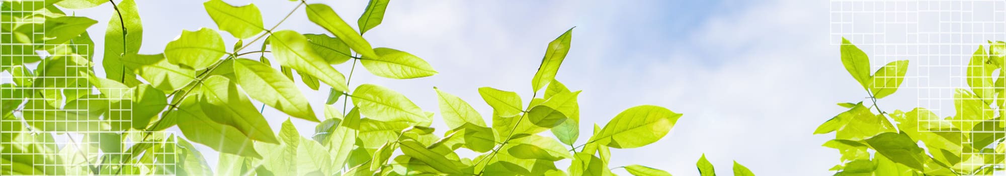 プライバシーポリシー